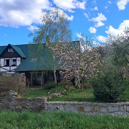 Przytulia Blekitny Lägenhet Kopaniec Exteriör bild