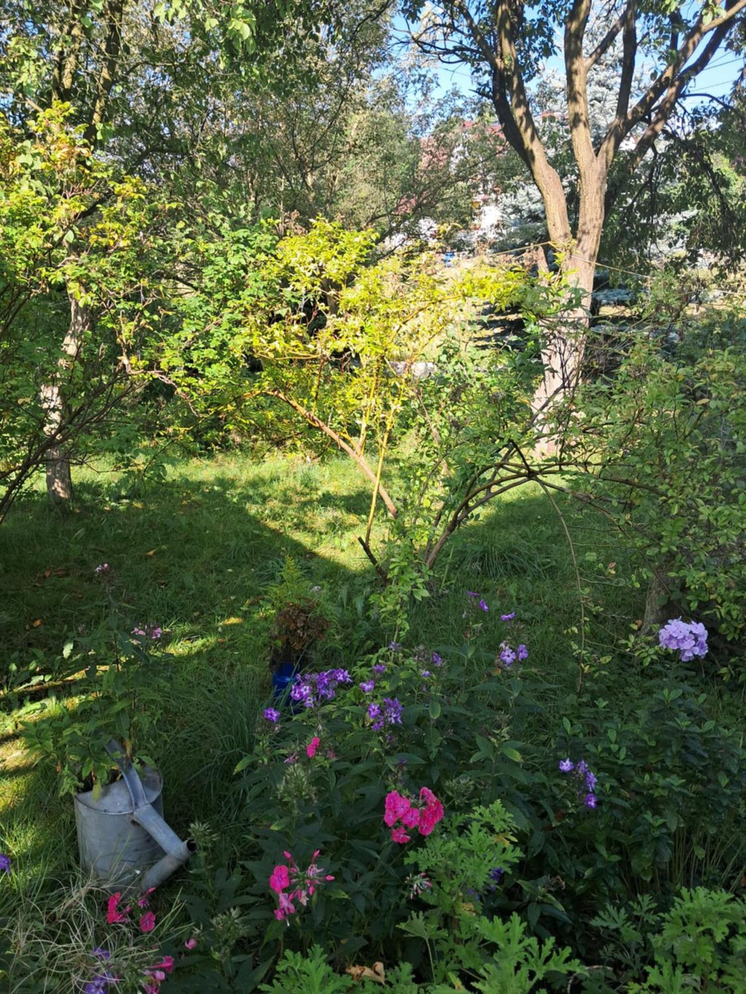 Przytulia Blekitny Lägenhet Kopaniec Exteriör bild